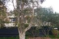 Property photo of 11/40 Grasmere Lane Cremorne NSW 2090
