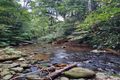 Property photo of 499 Old Cairns Track Butchers Creek QLD 4885