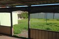 Property photo of 45 Wattle Road Flinders NSW 2529