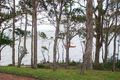Property photo of 134 Loralyn Avenue St Georges Basin NSW 2540
