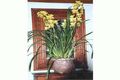 Property photo of 8 The Rampart Hornsby NSW 2077