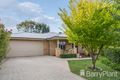 Property photo of 3 Pine Tree Court Belmont VIC 3216