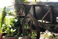 Property photo of 12 Avocado Crescent Bli Bli QLD 4560