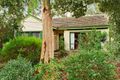 Property photo of 9 Patterson Street Nunawading VIC 3131