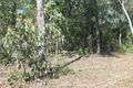 Property photo of 136 Balanda Drive Dundee Beach NT 0840