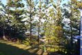 Property photo of 9 Alexander Street Zilzie QLD 4710