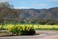 Property photo of 17 Gemini Road Napperby SA 5540
