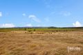 Property photo of 277 Zipfs Road Alberton QLD 4207