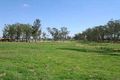 Property photo of 16 Woldhuis Street Quakers Hill NSW 2763