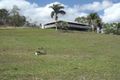 Property photo of 113 Owens Creek Loop Road Gargett QLD 4741