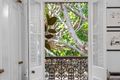 Property photo of 34 Napier Street Paddington NSW 2021