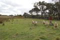 Property photo of 161 Portland Flat Road Gordon VIC 3345