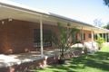 Property photo of 3 Raintree Close Mareeba QLD 4880