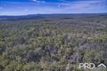 Property photo of 1203 Myall Creek Road Bora Ridge NSW 2471