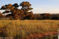Property photo of LOT 555 Bradman Drive Boorooma NSW 2650