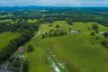 Property photo of 450 Alphadale Road Tregeagle NSW 2480