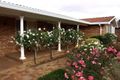 Property photo of 81 Cathcart Street Goulburn NSW 2580
