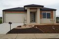Property photo of 14 Stringybark Avenue Wallan VIC 3756