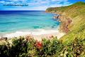 Property photo of 18 Zamia Place Forster NSW 2428