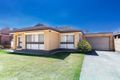 Property photo of 480 Schaefer Street Lavington NSW 2641