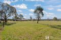 Property photo of 349 Lowes Peak Road St Fillans NSW 2850