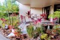 Property photo of 15/3 Agnes Street Agnes Water QLD 4677