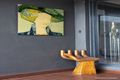 Property photo of 7 Springfield Court Traralgon VIC 3844