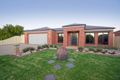 Property photo of 17 Harrier Street Shepparton VIC 3630