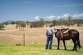 Property photo of 236 Hayes Road Rosevale QLD 4340