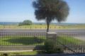 Property photo of 31 Beach Road Hampton VIC 3188