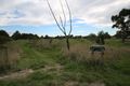 Property photo of Warrak Drive Bannockburn VIC 3331