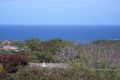 Property photo of 183 Great Ocean Road Anglesea VIC 3230