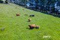 Property photo of 2119 Bridport Road Bridport TAS 7262