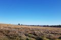 Property photo of 261 Bergalin Road Gulgong NSW 2852