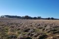 Property photo of 261 Bergalin Road Gulgong NSW 2852