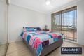 Property photo of 3 Cavalli Way Claremont Meadows NSW 2747