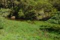 Property photo of 600 Upper Cherry Tree Road Upper Mongogarie NSW 2470