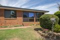 Property photo of 5 Podd Street Wilsonton QLD 4350