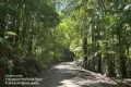 Property photo of 5 Mill Lane Warrell Creek NSW 2447
