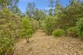 Property photo of 50 Karingal Drive Wye River VIC 3234