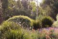 Property photo of 31 Valley View Crescent Norton Summit SA 5136
