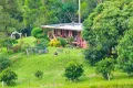 Property photo of 5155 Taylors Arm Road Thumb Creek NSW 2447