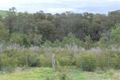 Property photo of 1166 Tambo Upper Road Bruthen VIC 3885