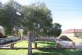 Property photo of 11 Pine Street Campbelltown SA 5074