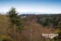 Property photo of 34 Emerald-Monbulk Road Emerald VIC 3782