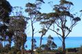 Property photo of 36 Davis Gully Road Four Mile Creek TAS 7215