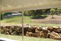 Property photo of 221 Eagle Street Collingwood Park QLD 4301