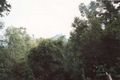 Property photo of 110 Bonnydoon Road Uki NSW 2484