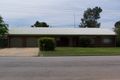 Property photo of 11 Currawong Crescent Coleambally NSW 2707