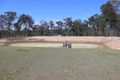 Property photo of 1559 Memerambi Barkers Creek Road Wattle Camp QLD 4615